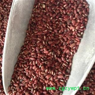 赤小豆 赤小豆统货 产地 云南省 凯捷中药图3