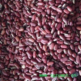 赤小豆 赤小豆统货 产地 云南省 凯捷中药图2