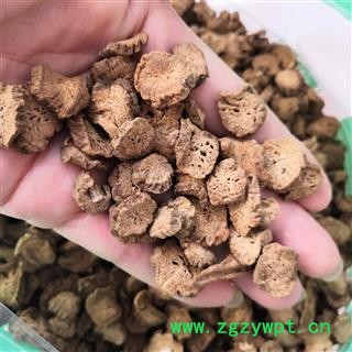 新辉药业精选牛蒡根 牛蒡茶 圆片选货图2