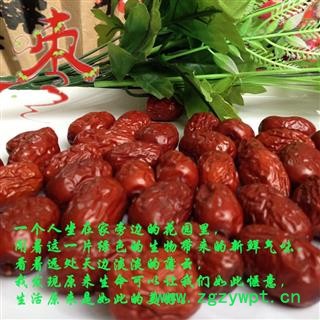 大枣 若羌大枣 产地 新疆维吾尔自治区图2