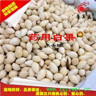 白果 果仁 产地 安徽省安庆市郊区图3