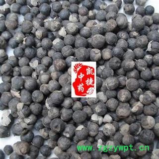 凯捷中药 蔓荆子 统货 产地 云南省丽江市永胜县图3