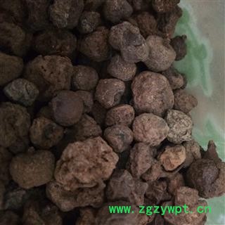 木天蓼子 虫瘿木天蓼 统个 产地 湖北省图3