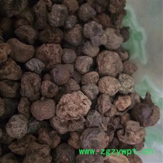木天蓼子 虫瘿木天蓼 统个 产地 湖北省图2