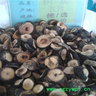 枳实 枳实 产地 浙江省衢州市衢江区图3