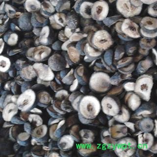 枳实 枳实 产地 浙江省衢州市衢江区图2