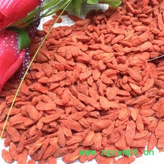 枸杞 青海枸杞280 产地 青海省图2