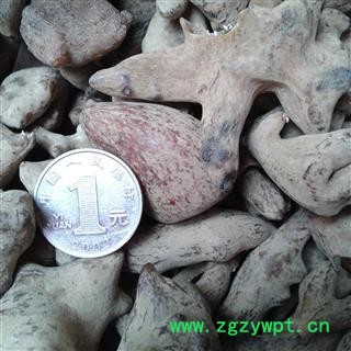 五倍子 统个 产地 四川省 凯捷中药图3