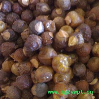 无患子 无患子统货 产地 吉林省 凯捷中药图3