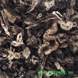 升麻 统 净货 国药堂 专注品质 产地 黑龙江省图2