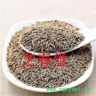 芝春堂 藏茴香 藏茴香籽 藏茴香子 贡中图4