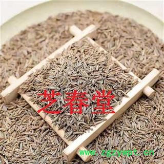 芝春堂 藏茴香 藏茴香籽 藏茴香子 贡中图3