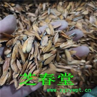 水栗子中药材喜树果千丈树天梓树喜树子水桐树旱莲子图2