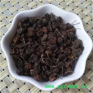 供应 龙葵果 干龙葵子 龙葵籽 天茄子 黑天天苦葵籽 各种中药材图2