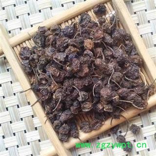 供应 龙葵果 干龙葵子 龙葵籽 天茄子 黑天天苦葵籽 各种中药材图3