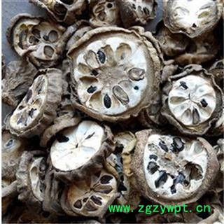 芝春堂中药材批发零售供应冷背片正品无硫八月札羊开口图2