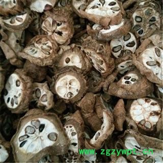 芝春堂中药材批发零售供应冷背片正品无硫八月札羊开口图4