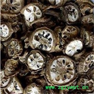 芝春堂中药材批发零售供应冷背片正品无硫八月札羊开口图3