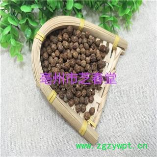 批发供应梧桐子 梧桐籽 梧桐果 新货无硫批发供应各种冷背中药材图4