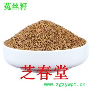 菟丝子 水洗选 产地 甘肃 库存 1000公斤可售图2