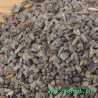 茺蔚子 选 批发零售各种规格中药材 花茶 籽粒仁 产地 东北图2