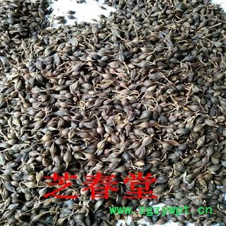 常年供应中药材 连翘  质量保证 支持验货 连翘图2