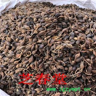 常年供应中药材 连翘  质量保证 支持验货 连翘图4