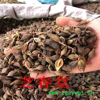 常年供应中药材 连翘  质量保证 支持验货 连翘图3