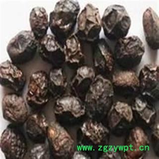 出售 广枣和五眼果(去皮的广枣) 批发零售各种中药材 花茶 矿石图3