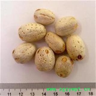 出售 广枣和五眼果(去皮的广枣) 批发零售各种中药材 花茶 矿石图2