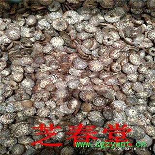 中药材批发 槟榔 摈榔片大白道地药材 支持药检 承接订单图3