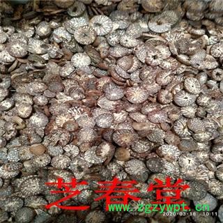 中药材批发 槟榔 摈榔片大白道地药材 支持药检 承接订单图4