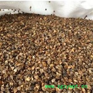 【苦荞麦壳 苦荞壳】高温杀菌 水洗 枕头枕芯座垫填充 700吨直销图2