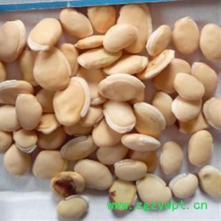 手工精选 白扁豆 特级大粒 天然无硫图2