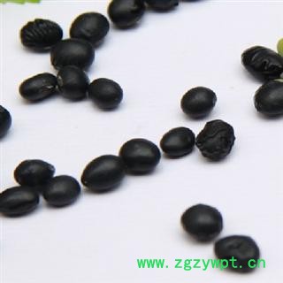 黑豆 选 批发零售中药材 花茶 矿石图2