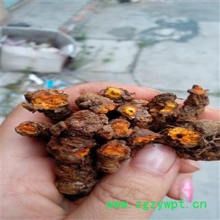 黄连 统单支 全干 2021 产地 四川省成都市彭州市图3