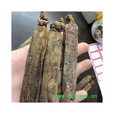 高丽参 选 无糖高丽参 2021 产地 海外