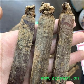 高丽参 选 无糖高丽参 2021 产地 海外图3