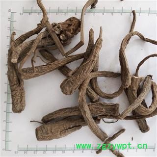 新辉药业中药材白芷   无硫原材料图2
