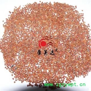 楮实子 统货 产地 辽宁省 凯捷中药图3