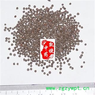 凯捷中药 紫苏子 统货 产地 河南省鹤壁市鹤山区图3