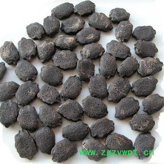 木鳖子 统货 产地 辽宁省 凯捷中药图2