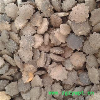 木鳖子 统货 产地 辽宁省 凯捷中药图3