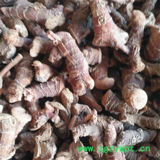 新辉药业调料香料 高良姜 良姜 奇凉姜 蛮姜图2