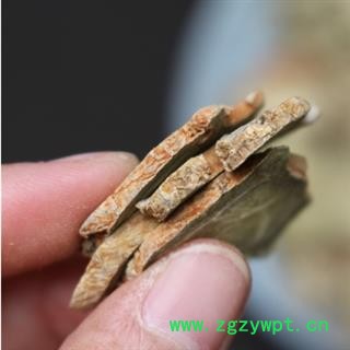 新辉药业三七  云南文山三七 三七片 实物拍摄图2