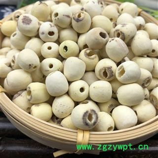 莲子 湖南湖北空心磨皮白莲子98货 产地 湖南省图3