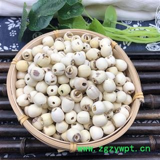 莲子 湖南湖北空心磨皮白莲子98货 产地 湖南省图2