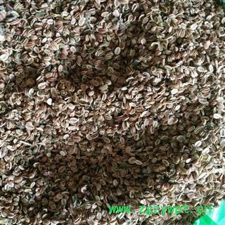 蛇床子 蛇床子统货 产地 安徽省图2