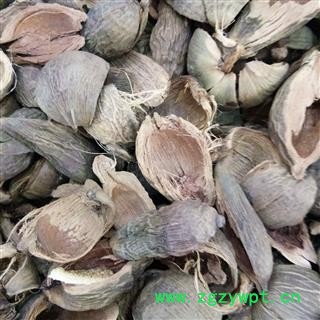 大腹皮 硬壳大腹皮 产地 广西壮族自治区图2