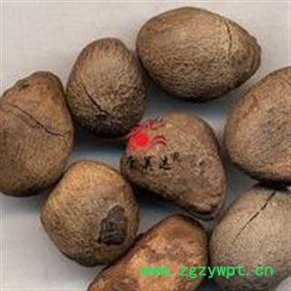 大风子 大枫子 大风子,米康茄,尾加木,麻风子 统货 产地 浙江省 凯捷中药图3